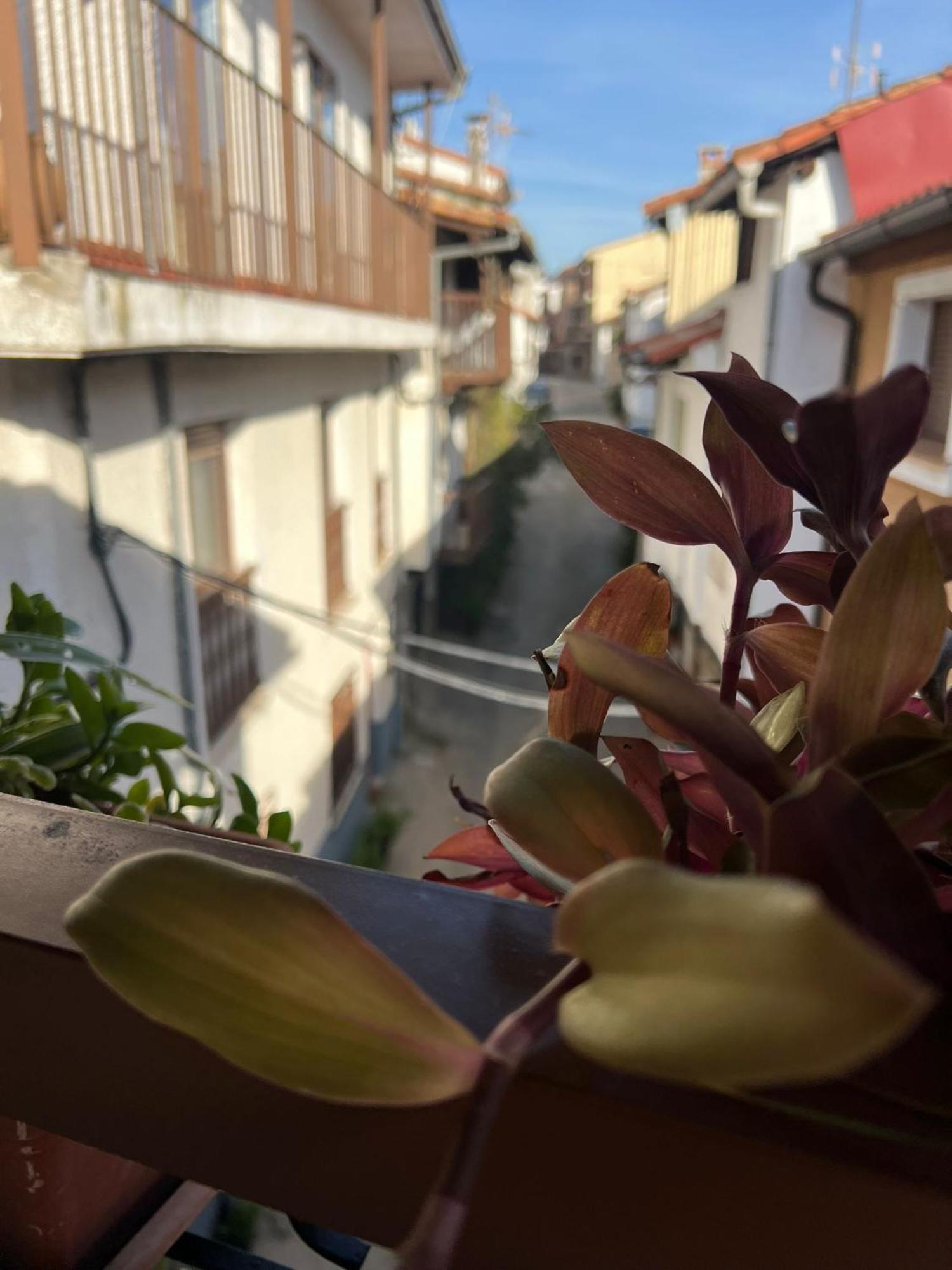 La Golondrina Apartamento Candeleda Exterior foto