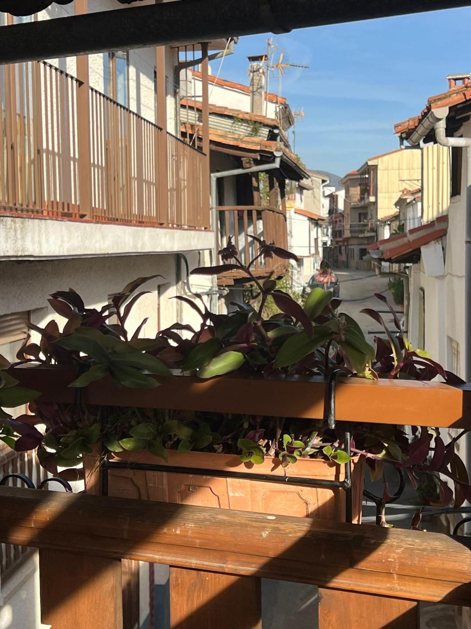 La Golondrina Apartamento Candeleda Exterior foto